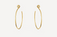 Hoop earrings, thin model, yellow gold